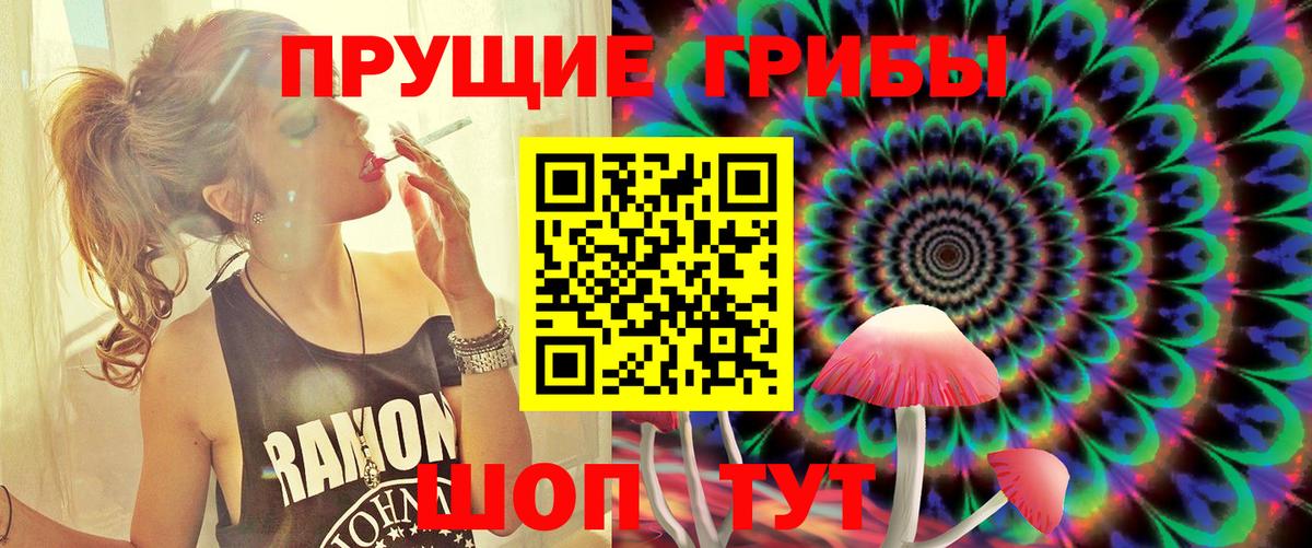 Галлюциногенные грибы Psilocybine cubensis  Вход с VPN  Тында  Галлюциногенные грибы прущие грибы 